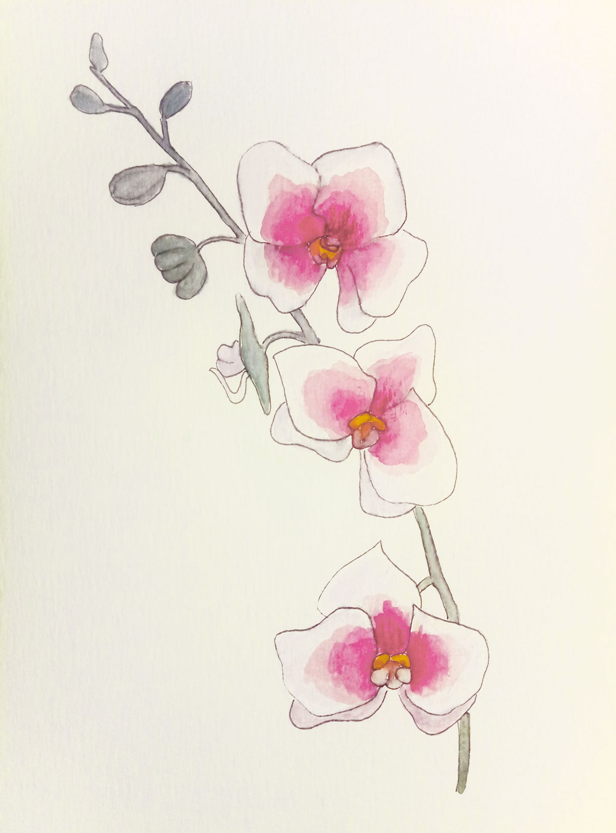 Aquarellbild Blüten